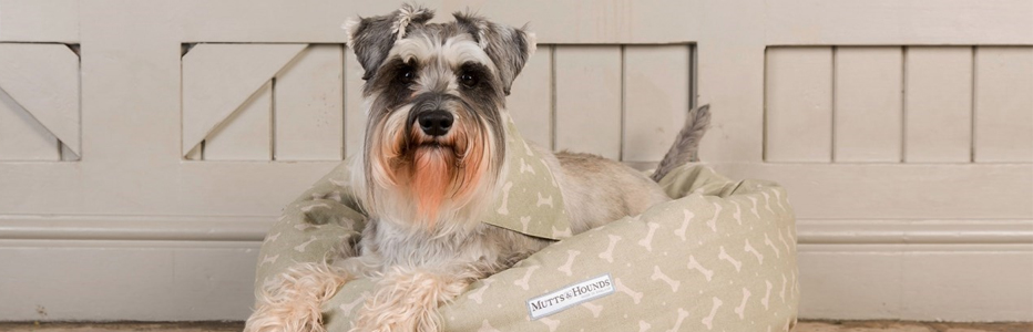 Mutts & Hounds
