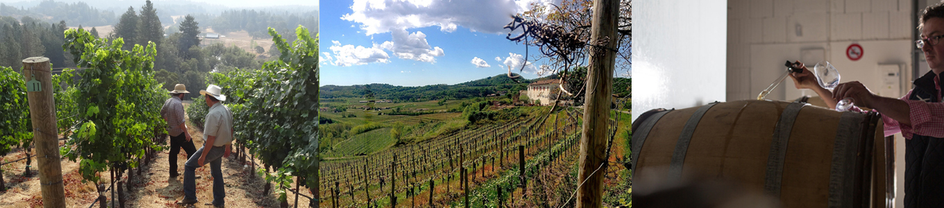Wanderlust Wine