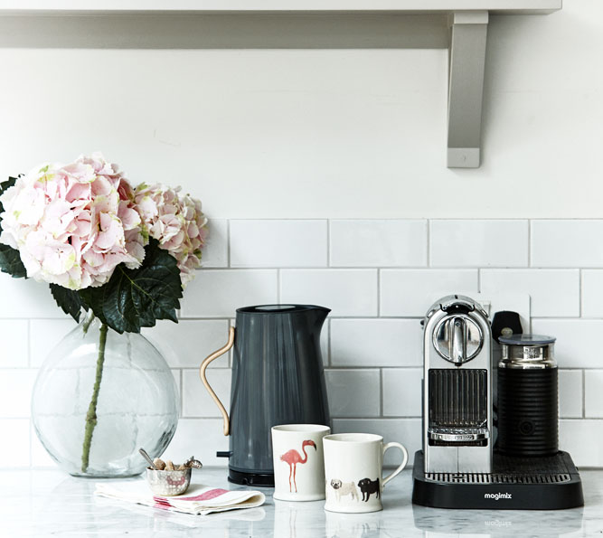 Bright and modern kitchen with stylish appliances